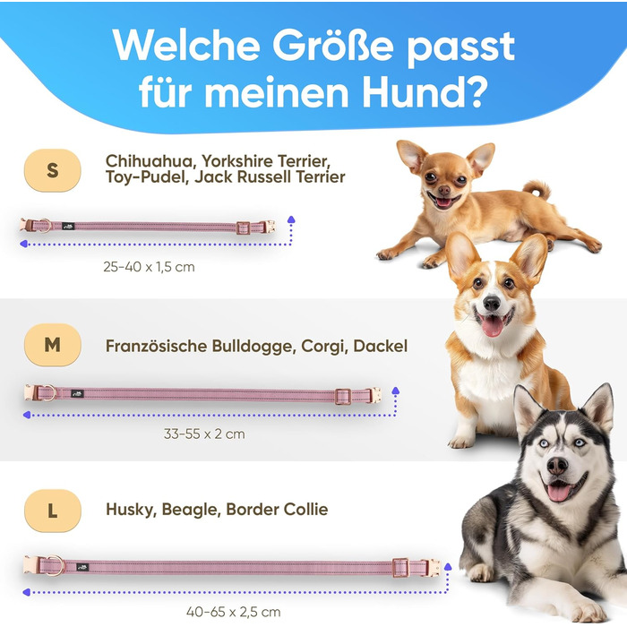 Водонепроникний нашийник для собак Leuchthal — регульований, 40-65 см, світловідбиваючий замок, флуоресцентна нитка