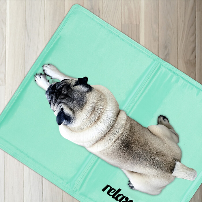Relaxdays Turquoise Cooling Mat for Dogs