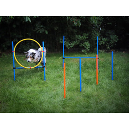 Набір для аджиліті NATIV LEMODO для собак | Тренування собак з бар'єром та стрибковим кільцем | Легкий у транспортуванні аксесуар для тренувань | Початковий набір у собачий спорт без тунелю