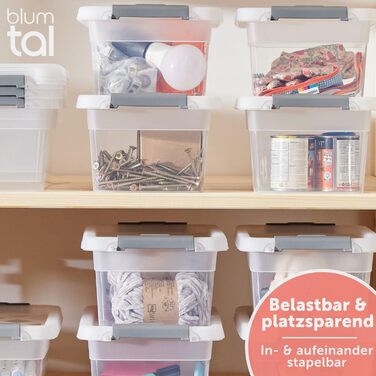 Blumtal Storage Box with Lid 32L Plastic - Storage Boxes 36.5x36x26.5 cm - Storage Boxes Made from 100% New Material with Locking Clips - Storage Boxes with Lid (5 Liters, 4-Piece Set)
