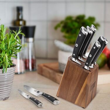 Набір ножів SHAN ZU (7 предметів) з блоком: кухонні ножі, ніж Сантоку 18 см, нержавіюча сталь, ергономічна ручка, подарункова упаковка