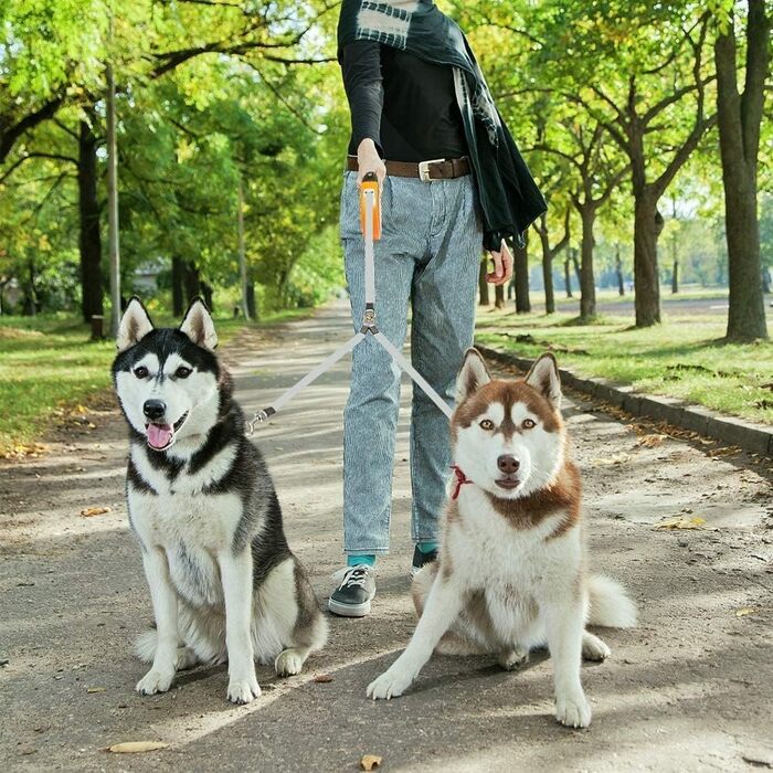 KOOLTAIL Подвійна висувна повідка для собак на двох, до 50 кг, міцна, 5 м, обертається на 360°, без спутанності, з кнопкою блокування, помаранчевий