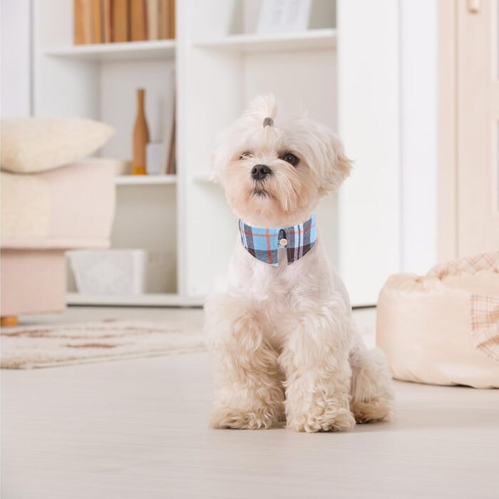 Набір аксесуарів для собак ExPawlorer: ошийник та поводок з бантиком у клітинку, регульований, з дзвіночком, 3 шт. (Himmelblau, X-Small)