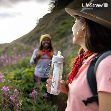 LifeStraw Go 650ml (650 ml, Clear)