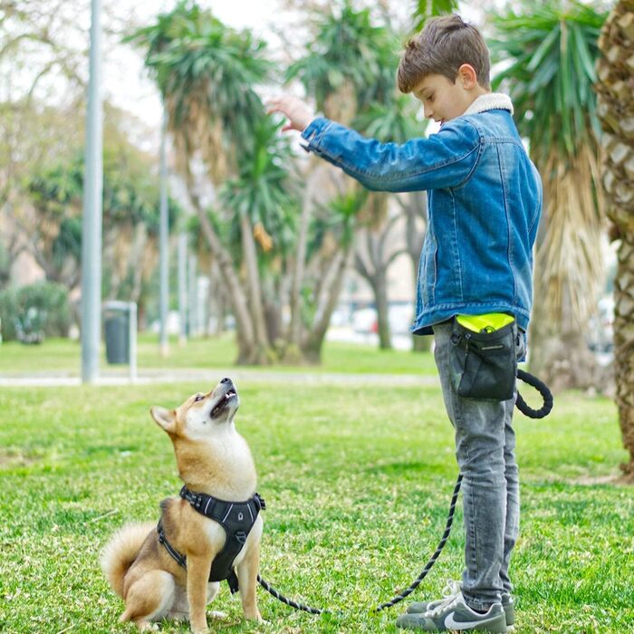 Сумка для корму для собак Waldseemüller, тренувальна сумка для домашніх тварин, підходить для собак маленьких та великих порід, з диспенсером для пакетів для екскрементів, карабіном, регульованим поясним ременем та плечовим ременем