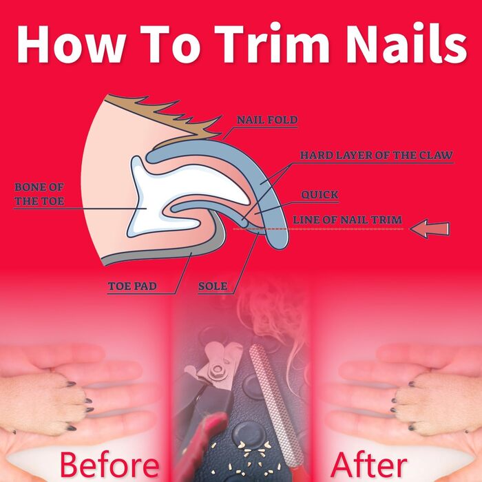 Професійний триммер для кігтів собак та котів з пилочкою. Нержавіюча сталь. Підходить для собак та котів будь-яких порід