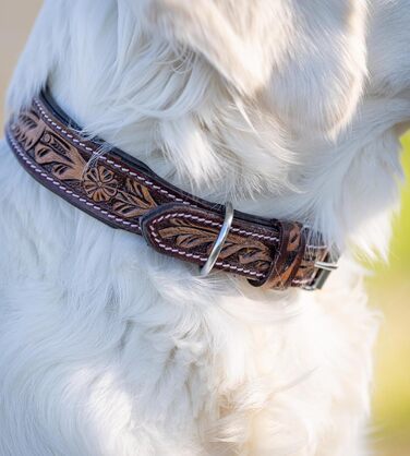Нашийник для собак Джек Рассел з натуральної шкіри буйвола, регульований, з м'якою підкладкою, ручної роботи, з різьбленням, Alexey, розмір S (26-34 см)