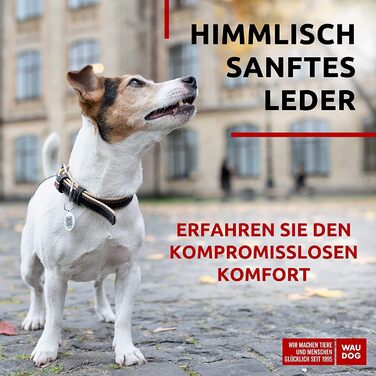 Нашийник для собак WAUDOG: шкіряний нашийник для великих, середніх та маленьких собак, цуценят. Ширина 15 мм, довжина 27-36 см. Чорний колір.