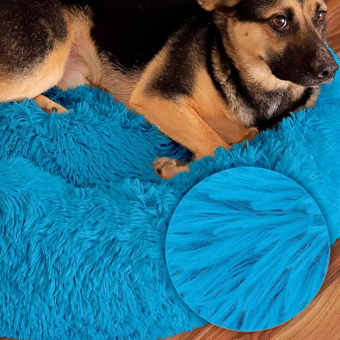 Лежанка для собак та котів Yuma Spazio, 50x70 см, тюрквіс (стійка до укусів, міцна, знімне покриття)