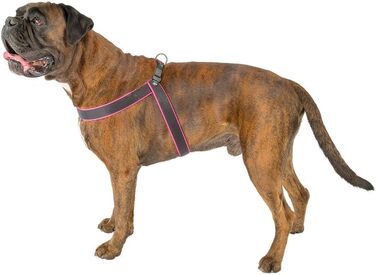 Шлейка для собак Ferplast Agila Fluo 3, неонова, розмір 3 (37-57 см), регульована, м'яка, зелена