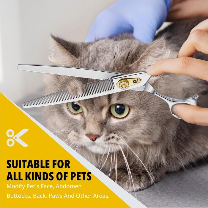 Професійна собача шерсть ножиці Dream Reach 8 дюймів - 440C нержавіюча сталь, ергономічна ручка, для собак та котів