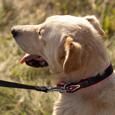 Нашийник для собак Ferplast ERGOFLUO C15/42 з м'якою підкладкою та мікрорегулюванням, рожевий (43x51x25 мм)