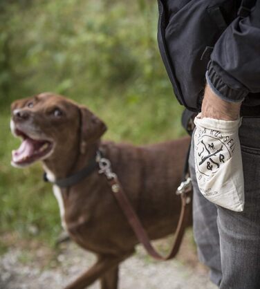 Преміум шкіряний нашийник для собак Jack Russell Lilly - нашийник з натуральної шкіри Kalbleder (S, Коричневий/Чорний) - розмір S, обхват 32-39,5 см