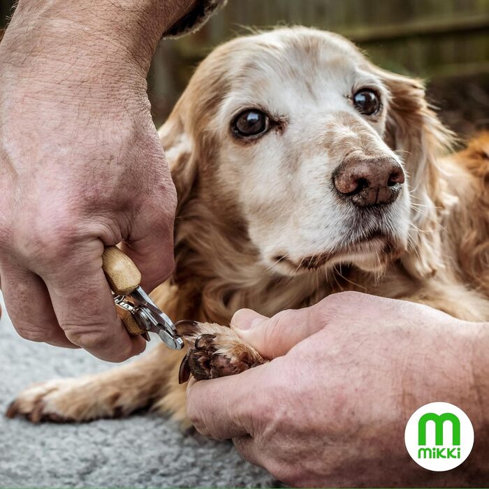 Ножиці для грумінгу собак та котів Mikki Bambus, з безпечним стопором, мікро-зубчасті леза, маленькі