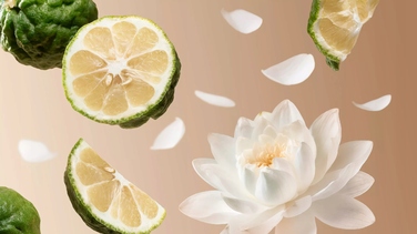 Парфумована вода Rituals The Iconic Collection Travel Soleil d'Or, 15 мл