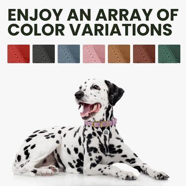 Шкіряний нашийник для собак BRONZEDOG з QR-ID міткою, регульований, м'який, круглий, для малих, середніх та великих собак, цуценят, котів (28-36 см), Класичний Червоний, 40-48 см