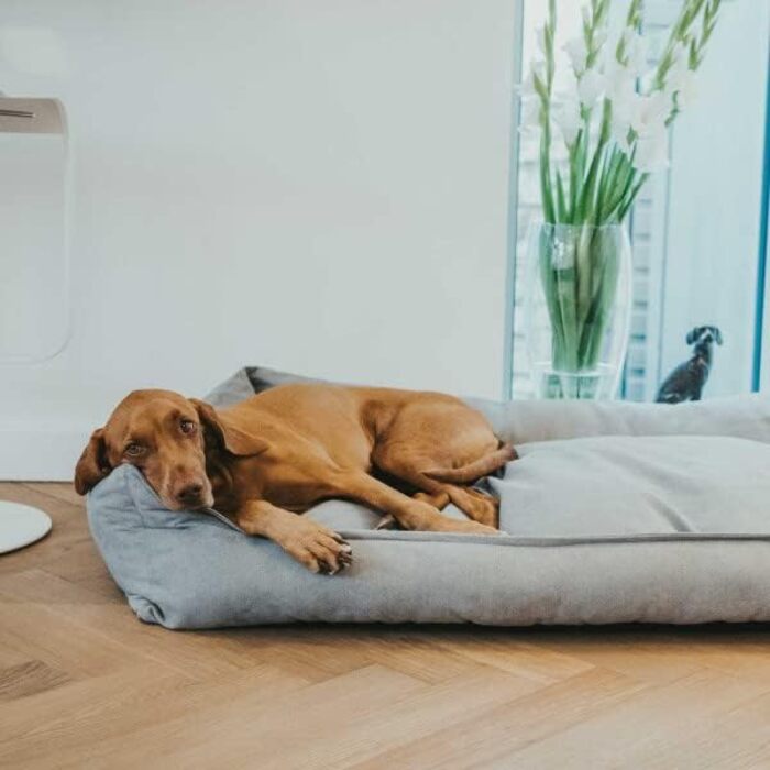 HUNTER EIBY - лежанка для собак, сірого кольору, з технологією Easy Clean, легка у догляді (L)