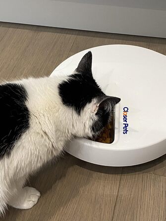 Автомат для годування Closer Pets C500 з таймером – для котів та маленьких собак, 5 мисок, до 330г на порцію, з акумуляторами охолодження, білий