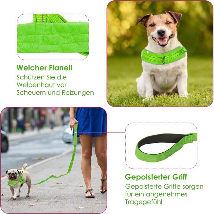 Нашийник для собак LowTon з повідком, анти-тягнучий, відбиваючий, безпечний, проти заплутування, для маленьких та середніх собак та цуценят, чорний (XXS, темно-зелений)