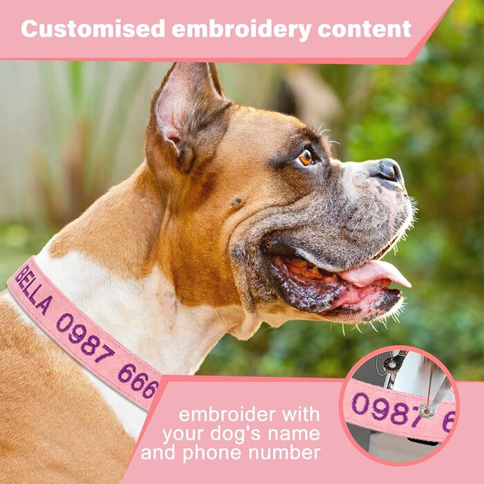 Лідяний нашийник для собак з металевою застібкою, двосторонній, з ім'ям та номером телефону, регульований розмір, M та L (для маленьких собак)
