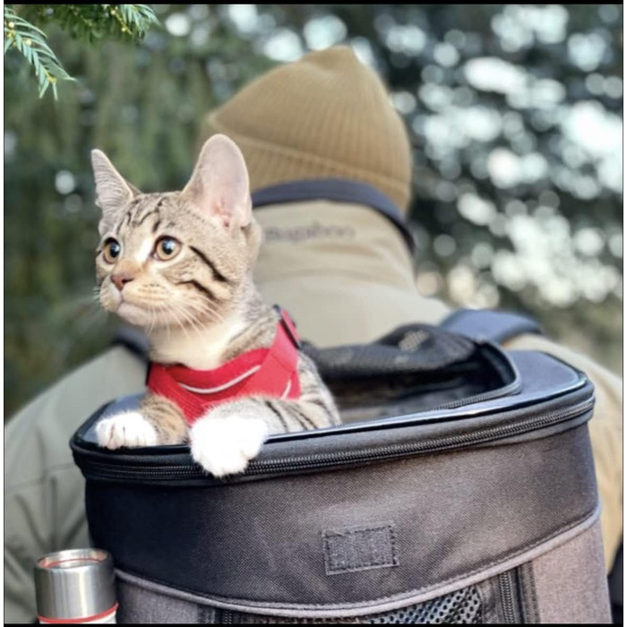 Рюкзак для тварин Kritter Planet з сітчастими вікнами, дихаючий та складаний, для собак та котів, знімний килимок, для походів, велосипеда, активного відпочинку, 7 кг, світло-сірий