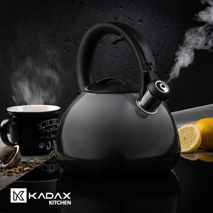 Чайник KADAX з нержавіючої сталі, 3л, з свистком, ретро дизайн, різні кольори, ефект Ombre, (Блакитний/Сірий)