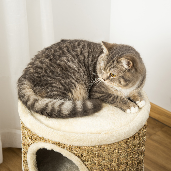 PawHut Драбина для котів, кігтеточка з сизалю та плюшу, 3 рівні, 37,5x37,5x70 см – ідеально підходить для любителів котів