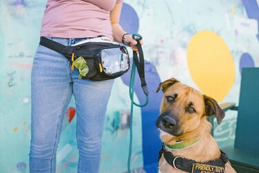 Сумка OllyDog Trailblazer для собак | Легка поясна сумка для ласощів та відходів | З кулькою, водовідштовхувальна | Для прогулянок та тренувань