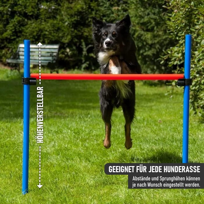 Набір для аджиліті NATIV LEMODO для собак | Тренування собак з бар'єрами та стрибковим кільцем | Легкий у транспортуванні аксесуар для аджиліті | Початковий набір у собачий спорт (з тунелем)