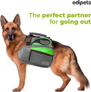 Hundeleine Edipets висувна та звичайна, 5/8 м, для собак маленьких, середніх та великих порід, для прогулянок та тренувань (зелена)