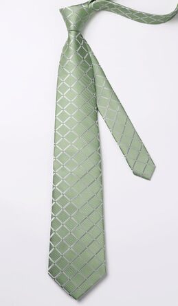 HISDERN Комплект краватки та кишенькового хустинки в клітинку для чоловіків (світло-зелений)