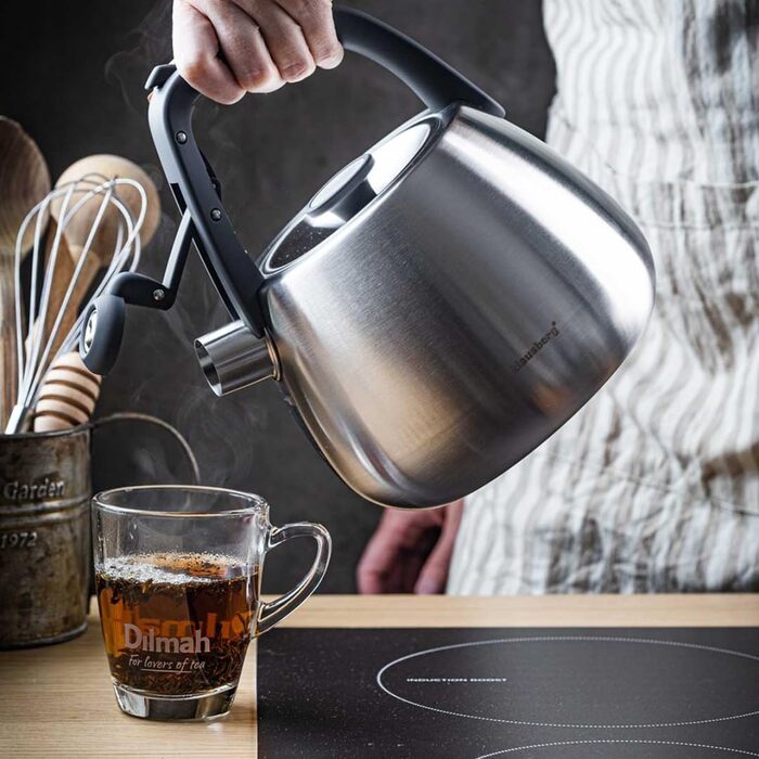 Чайник сталевий 2.5L Induktion (сріблястий)