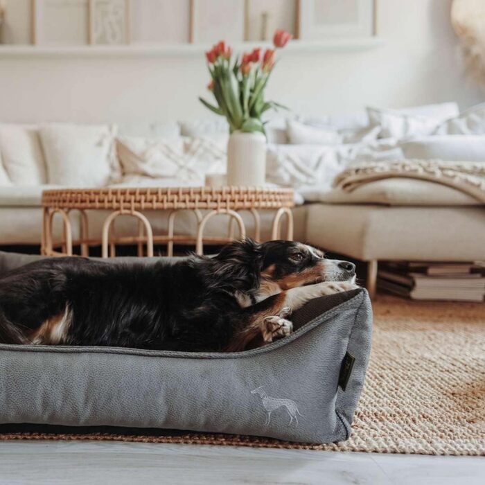 Ортопедичний лежак для собак Merida, колір антрацит, розмір M