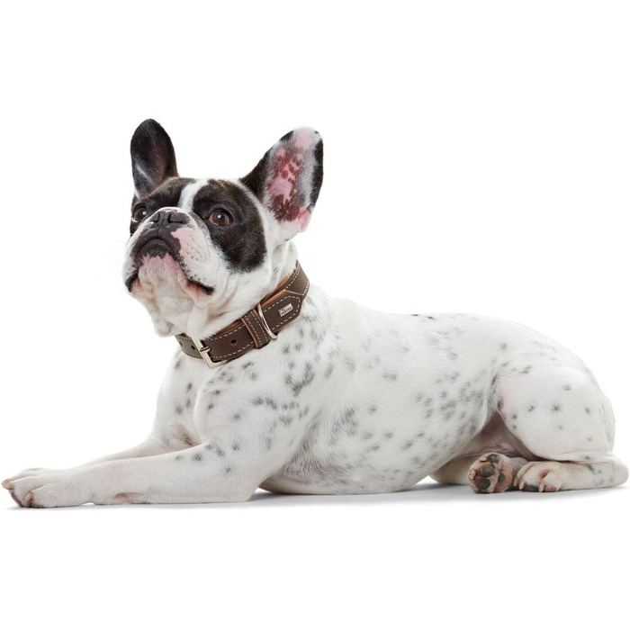 Нашийник для собак HUNTER PORTO, шкіряний, олив'яне дублення, м'який, зносостійкий, ручної роботи, колір: коричневий (cognac)