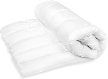 FAM Home Duvet Cover 220x240 Soft Microfiber Washable for Summer | Comforter Allergy-Friendly for Allergy Sufferers | Quilted Comforter 240x220 cm Summer Blanket