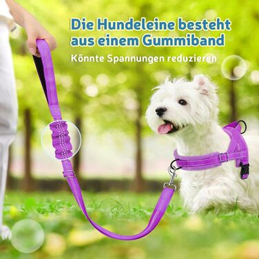 Шлейка для собак SlowTon з поводом, анти-тягнуча, регульована, світловідбиваюча, для цуценят та собак малих та середніх порід, безпечна, запобігає задушливості, зелена (XXS, фіолетова)