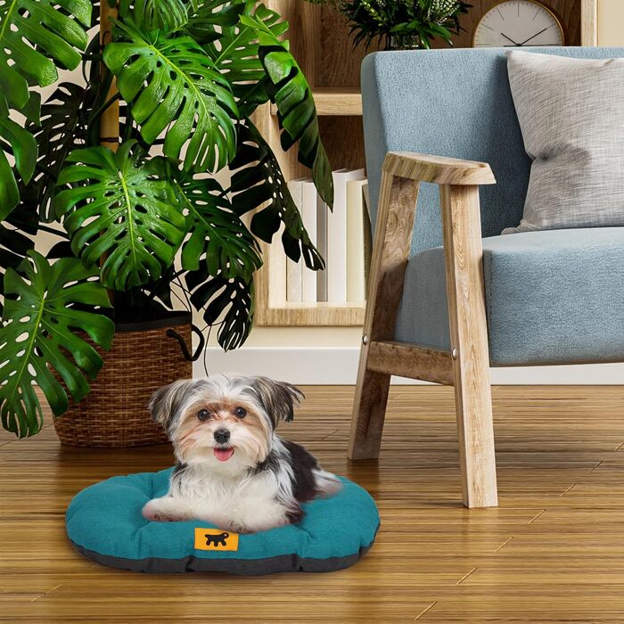 Крісло-лежанка для собак та котів Ferplast Relax, 78x50 см, бавовна, Ottanio (м'ятно-блакитний), з м'якою підкладкою, для будки та авто, можна прати