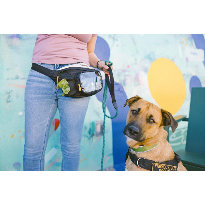 Сумка OllyDog Trailblazer для собак | Легка поясна сумка для ласощів та відходів | З кулькою, водовідштовхувальна | Для прогулянок та тренувань