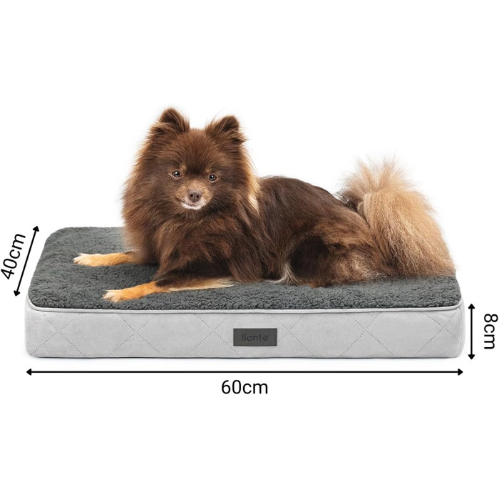 Ортопедичне ліжко для собак Lionto, 60x40x8 см, з м'яким плюшем, знімний та пральний чохол, водовідштовхувальне, для собак та котів, сірого кольору