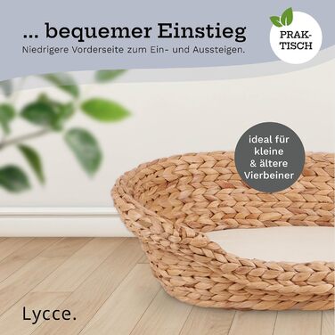 Cat bed, dog bed for small dogs | Washable cushion at 30° | Oval shape with high rim | Water hyacinth | Beds, blankets & furniture for cats | Size 1 (53 x 40 x 14 cm)