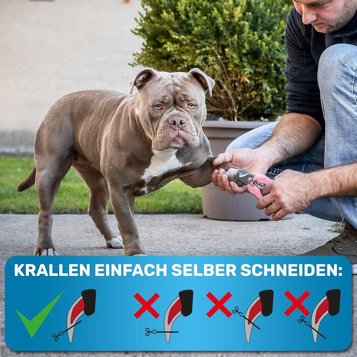 Ножиці для обрізання кігтів BluePet Profi Krallenschere для собак та котів - професійні, регульовані, з напильником, рожеві (M-XL)