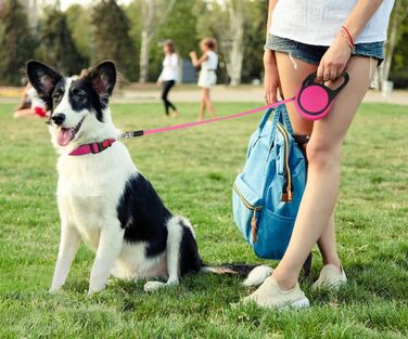 Висувна поводок для собак Taglory, 5м, рожевий, для середніх та великих собак до 45 кг, з надійним гальмом та антиковзним ручками