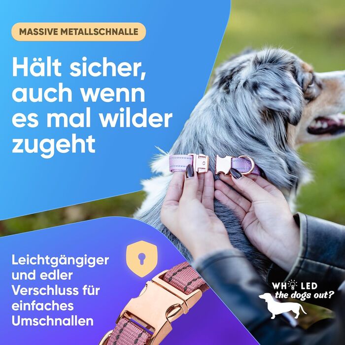 Водонепроникний нашийник для собак Leuchthal — регульований, 40-65 см, світловідбиваючий замок, флуоресцентна нитка