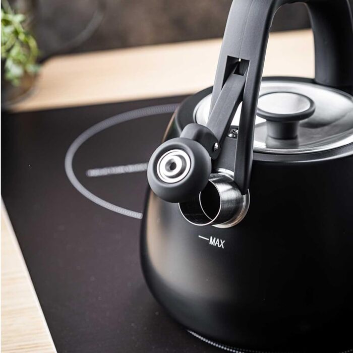 Чайник сталевий 2.5L Induktion (Чорний)