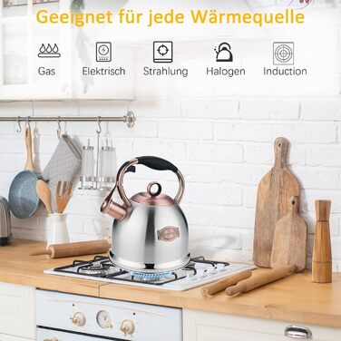 Чайник-свисток 3л з нержавіючої сталі, індукційний, з термостійкою ручкою (срібний)