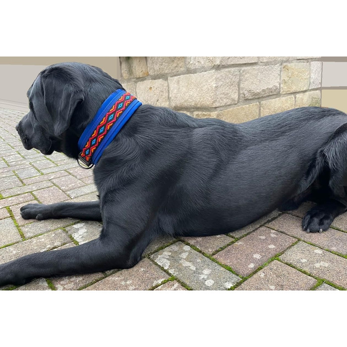 Нашийник для собак Extra-Wide & Soft з неопреновим наповнювачем, кольоровий на синьому, розмір XS (32-37 см)