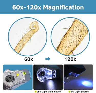 BEBANG Кишеньковий мікроскоп 60x-120x з LED-підсвічуванням, ручний міні-мікроскоп для дітей, студентів та дорослих, для мікробіологічних спостережень