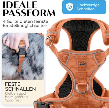 FREUDENTIER Dog Harness with Mesh Padding - Maximum Comfort, Bombproof Fit & Maximum Safety - Anti-Pull Front Ring - Chest Harness for Large, Medium and Small Dogs (Orange, XS)