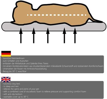 Ортопедична лежанка для собак Diluma Benji - лежанка для тварин з знімним чохлом - лежанка для собак Беж - 100 x 65 x 10 см (L, S 72 x 50 x 8 см)