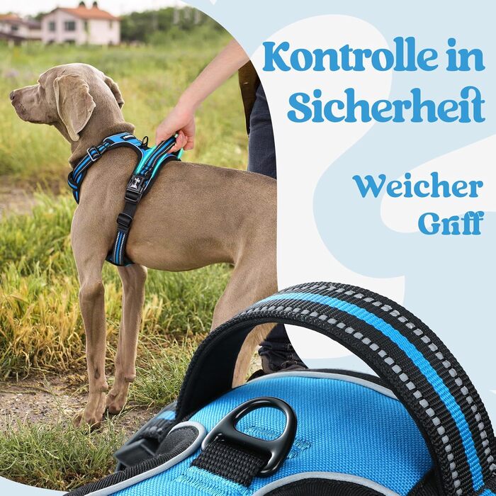Нашийник для собак Rabbitgoo, великі породи, регульований, проти тяги, з ручкою, м'який, світловідбиваючий, блакитний, L (XL, 1 шт.)